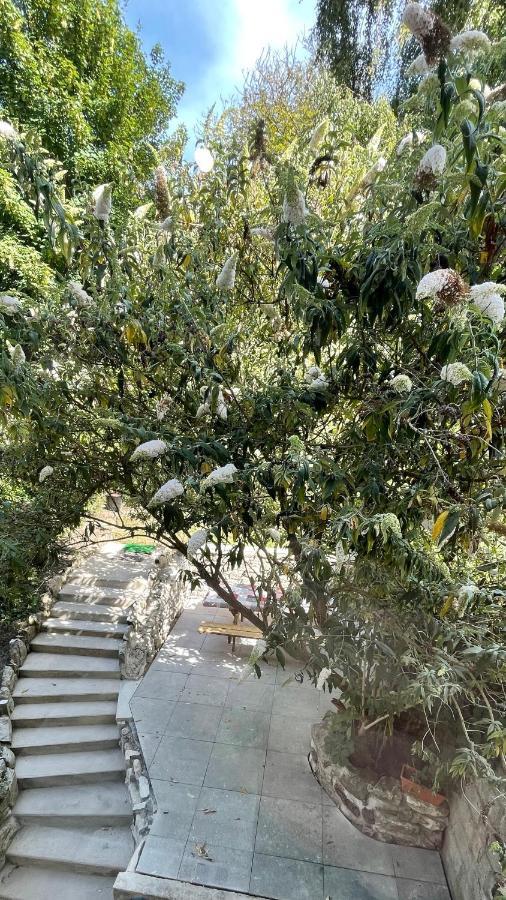 Au Jardin De La Basilique Daire Boulogne-sur-Mer Dış mekan fotoğraf