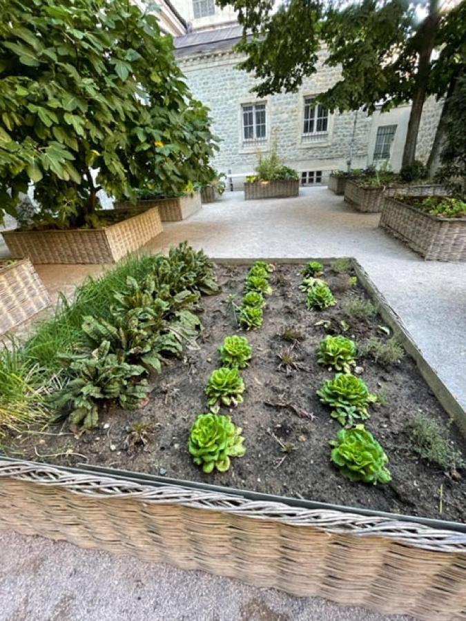 Au Jardin De La Basilique Daire Boulogne-sur-Mer Dış mekan fotoğraf
